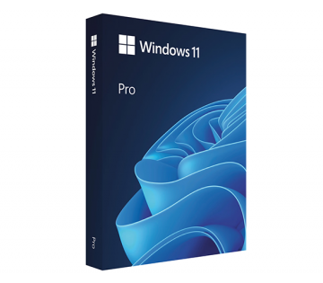 Windows 11 Pro incl. trainingen.